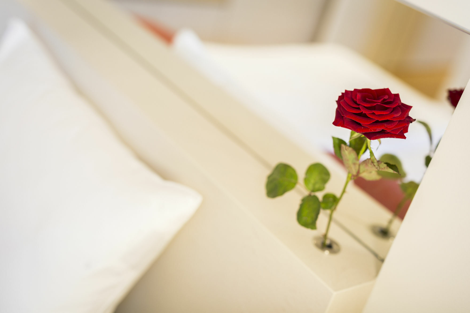 Vienna Grand Apartments Danube מראה חיצוני תמונה